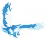 Медицинский центр «Сункар» («Сункар-Жетысу» в направлениях КМИС) — Шымкент