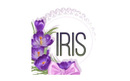 Салон красоты «IRIS Beauty Room (Ирис Бьюти Рум)»  — Шымкент
