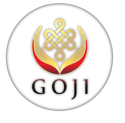 Медицинский центр «GOJI» — Астана